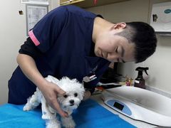 -美联众合爱康动物医院•复杂内科•肿瘤科•牙科•腔镜诊疗中心