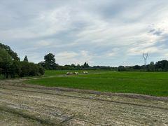 -良渚古城遗址公园