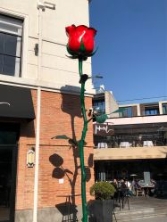 -镁连社·美联社