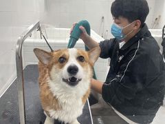 -1013 PET SHOP 宠物商店(近铁城市广场店)