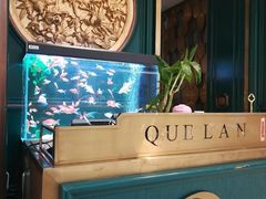 -雀蓝川菜(奥体广场店)