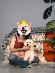 -十月孕记孕妈妈摄影