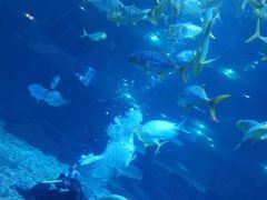 -福州罗源湾海洋世界旅游区