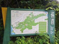 -福道