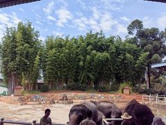 -云南民族村
