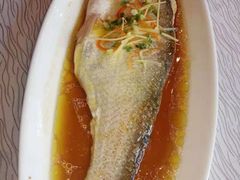 太湖野生白鱼-尚岛私房菜(西方巷店)
