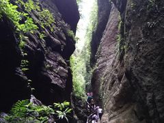 -重庆武隆天生三桥风景区-神鹰天坑