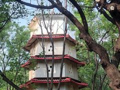 -蟒山国家森林公园-停车场