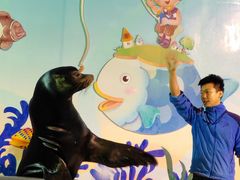 -太平洋海底世界