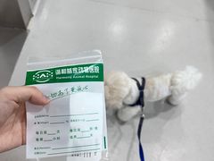 -谐和益家动物医院·免疫绝育·血液透析·宠保定点医院(高新伊藤分院)