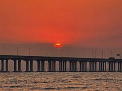 -宝安西湾红树林湿地公园