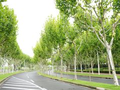 -上海山野camping·户外天幕烧烤·团建拓展营地