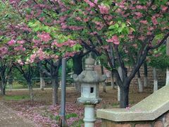 -石岛赤山风景区