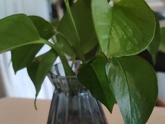 -蔓兰家的四季S0餐厅·融合菜(当代MOMA店)