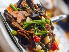 -灯盏窝饭店(新都分店)