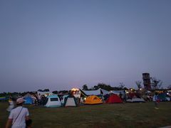 -春花秋色城市公园