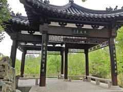 -南汇桃花村