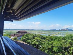 -大湾区中央湿地公园