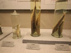 -青藏高原自然博物馆