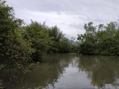 -会仙湿地