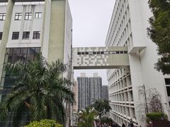 -香港大学