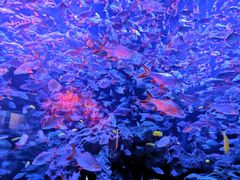 -成都浩海立方海洋公园