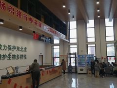 -横道河子东北虎林园