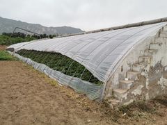 -大自然农场蔬菜草莓采摘园