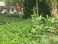 -天宁寺