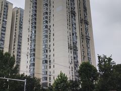 -张一元(望京店)