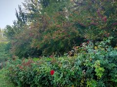 -廊坊文化艺术中心