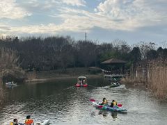-同里国家湿地公园