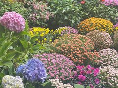 -滴水坊(星云文教馆店)