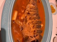 -阿五黄河大鲤鱼(英协路店)