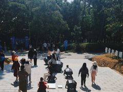 -广东惠东海龟国家级自然保护区