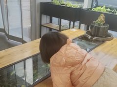 -红糖水都·女生特炖·中式滋补炖(北辰店)