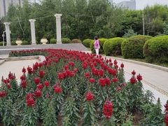 -长春公园(普阳街道)
