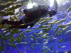 -华夏文旅海洋公园