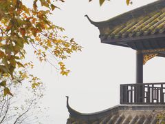 -常德桃花源景区
