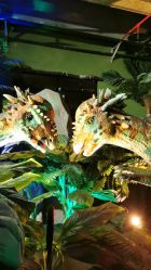 -恐龙探索乐园(磁器口店)