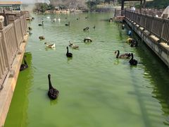 -无锡动物园·太湖欢乐园