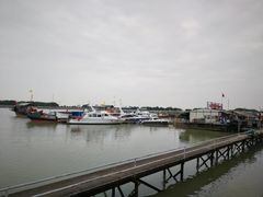 -大湾区中央湿地公园-十九涌