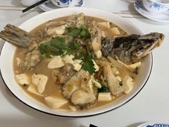 -煲来饱去冷水鱼