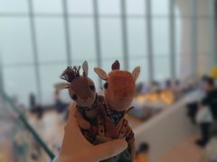 -抱抱地球咖啡馆(国家海洋博物馆店)