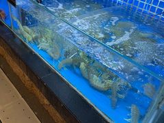 -徐记海鲜(大明宫|北二环店)