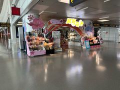 -郑州新郑国际机场-T2航站楼