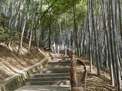 -敬亭山风景名胜区