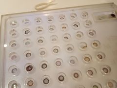 -miomi米欧米美瞳隐形眼镜(银座百货店)