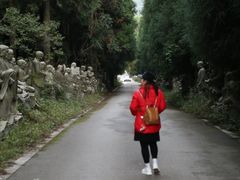 -武陵山森林公园