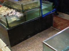 水产区-渔民新村(番禺总店)